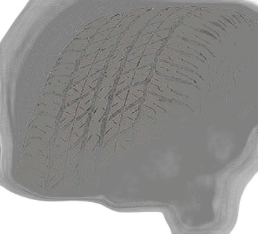 Dunlop Grandtrek AT20