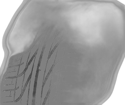 Pirelli P6000