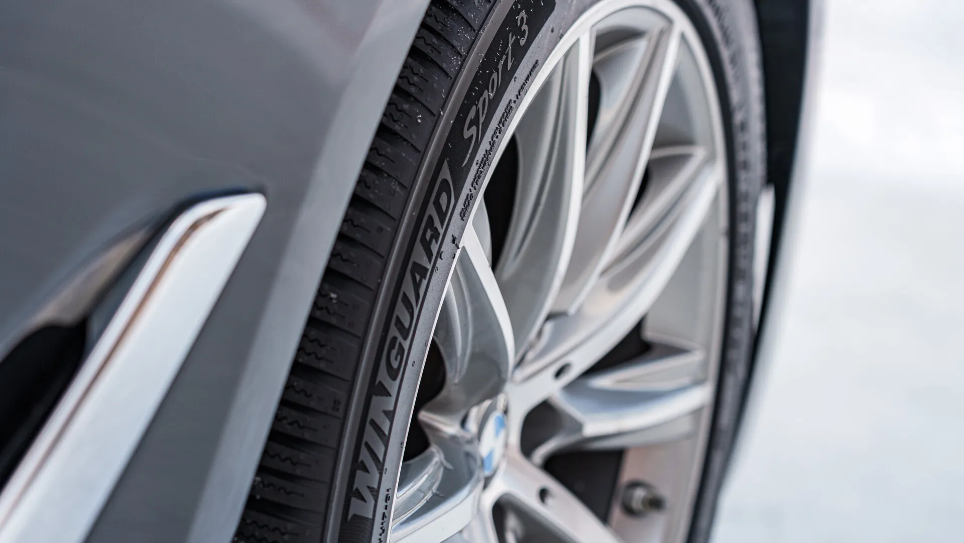 Nexen Winguard Sport 3 Obrázek