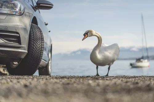 Nokian Seasonproof Miniatura 9232x6155