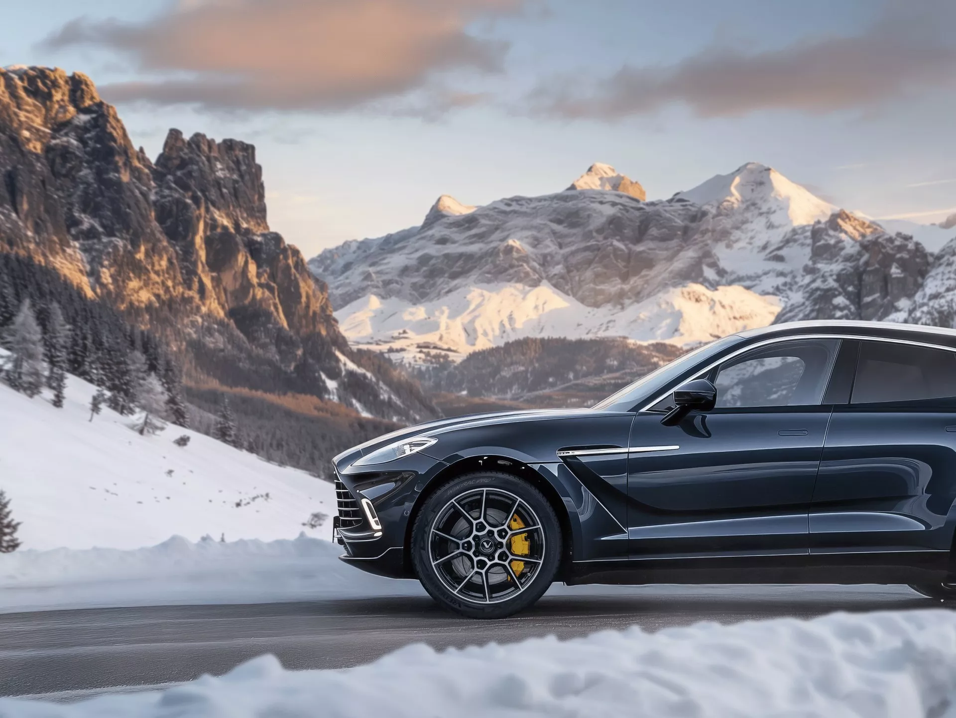 Vredestein Wintrac Pro+ Obrázek